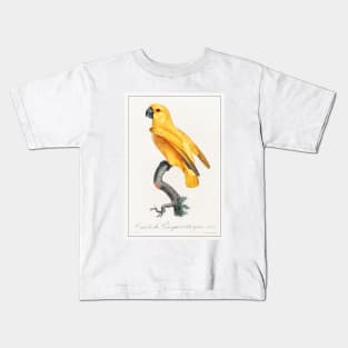 Senegal Parrot (1801—1805) Kids T-Shirt